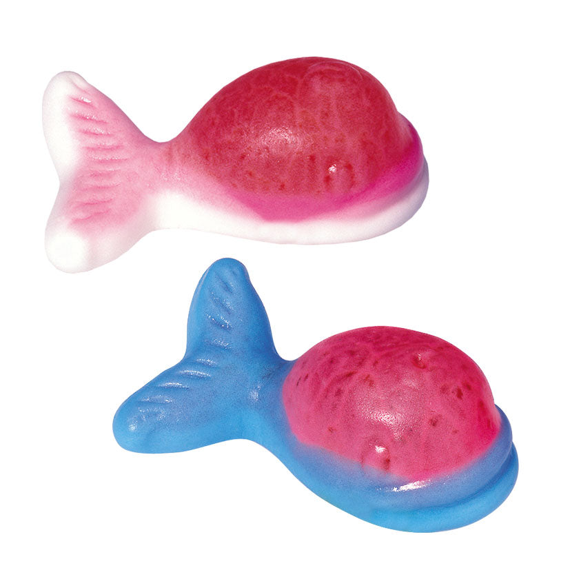 Gummy Whales